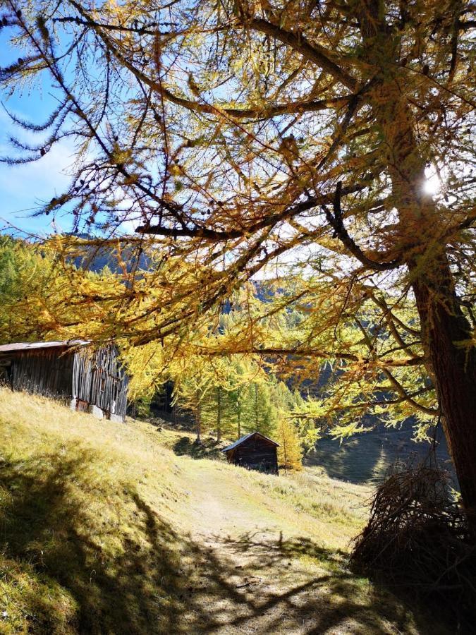 Chalet Le Trient Kültér fotó
