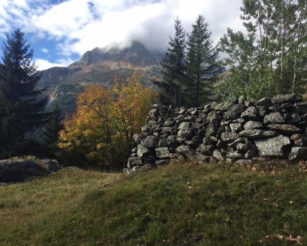 Chalet Le Trient Kültér fotó