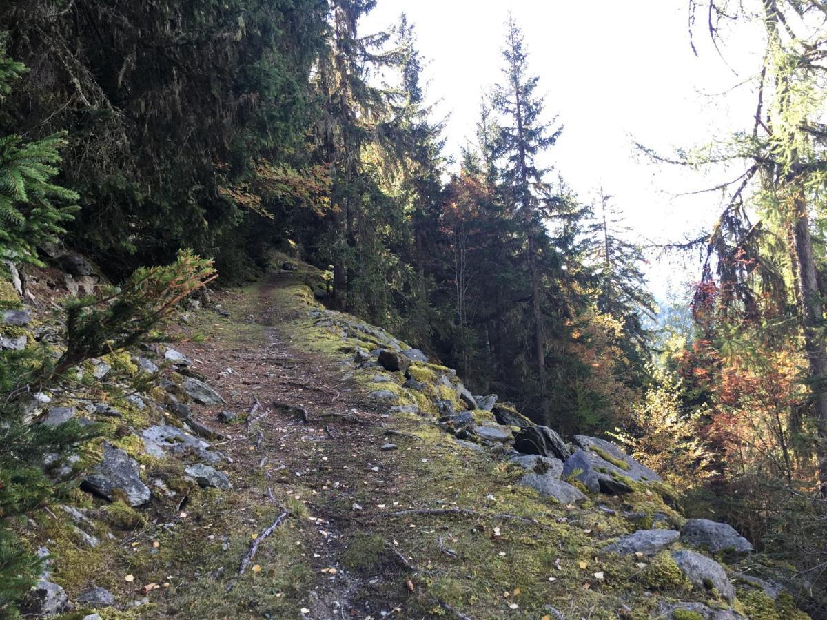 Chalet Le Trient Kültér fotó