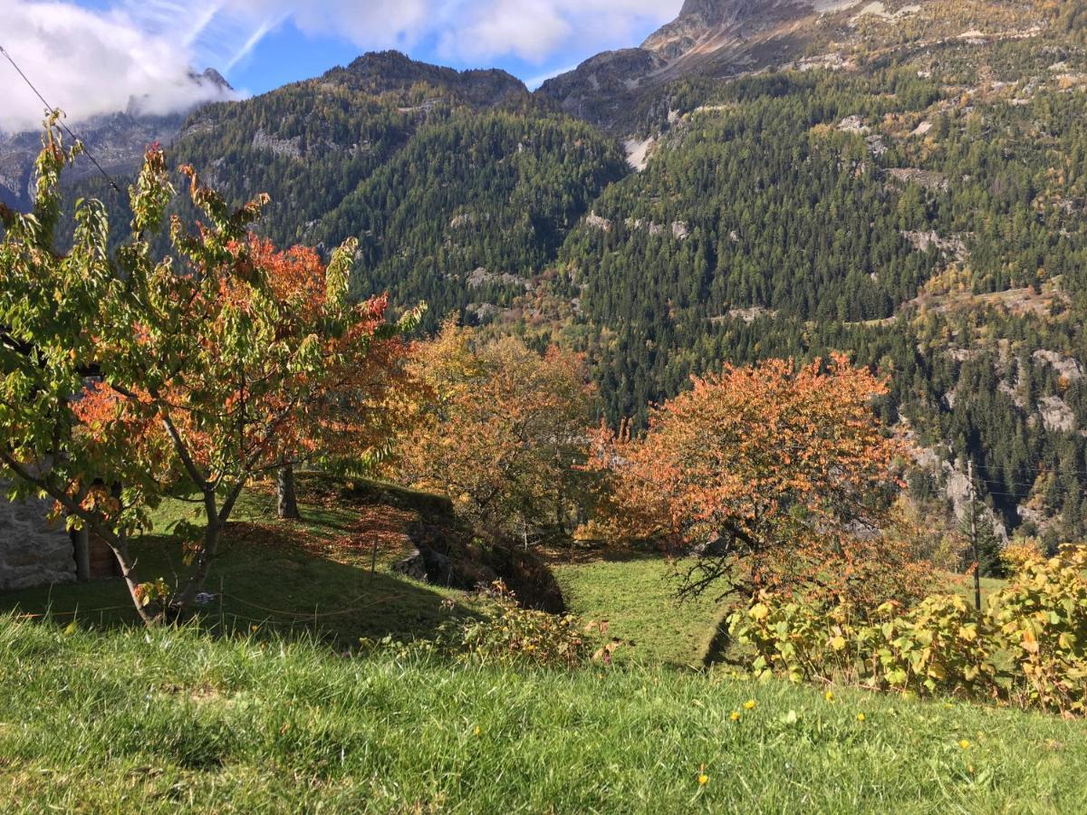 Chalet Le Trient Kültér fotó